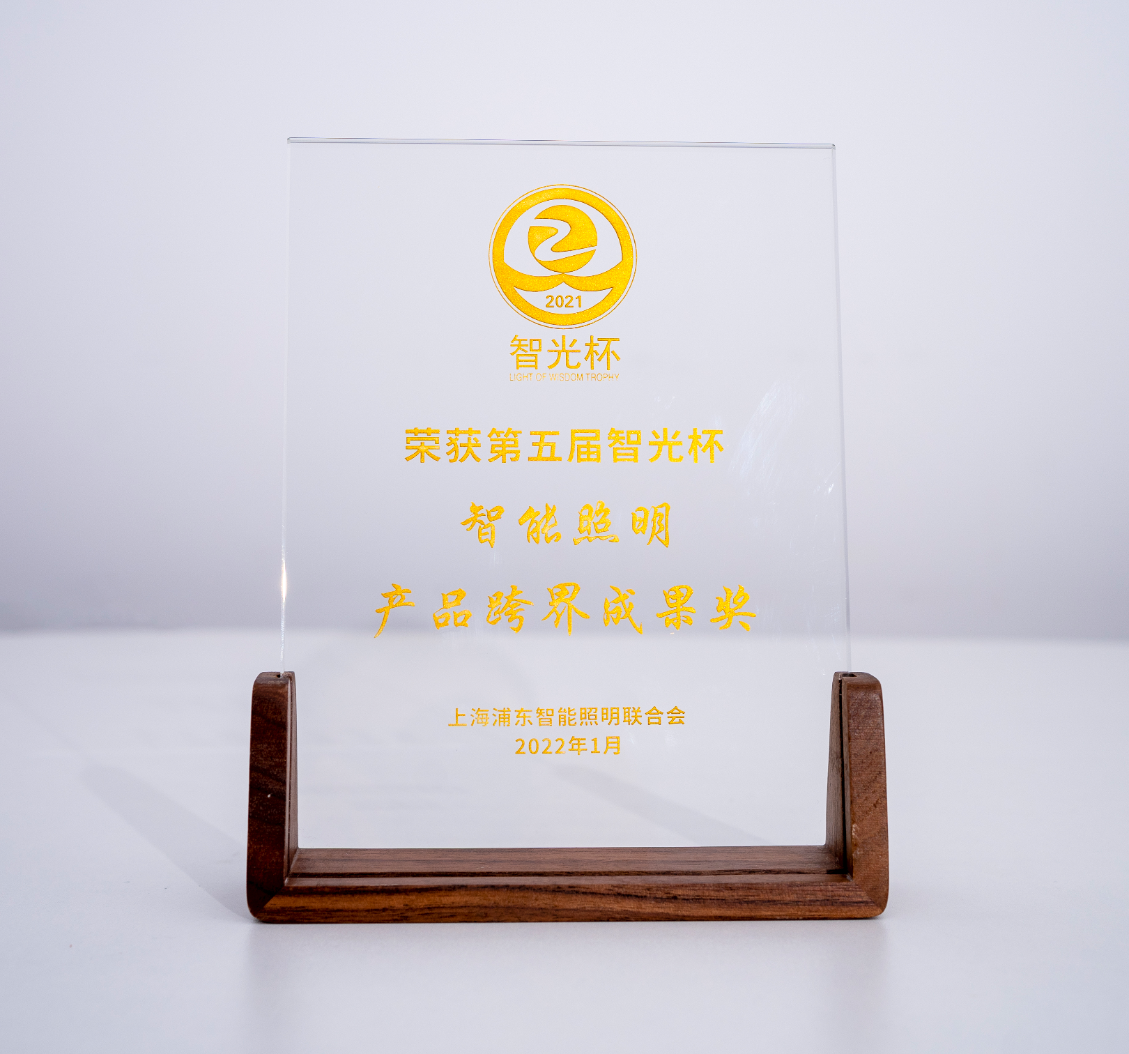 智能照明產(chǎn)品跨界成就獎